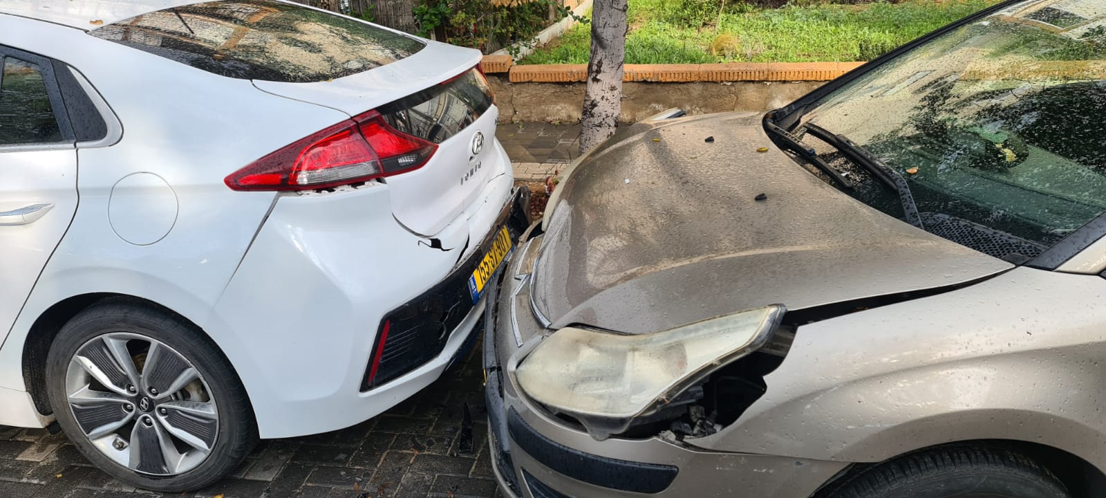 WhatsApp Image 2021-12-18 at 9.23.40 AM (2).jpeg